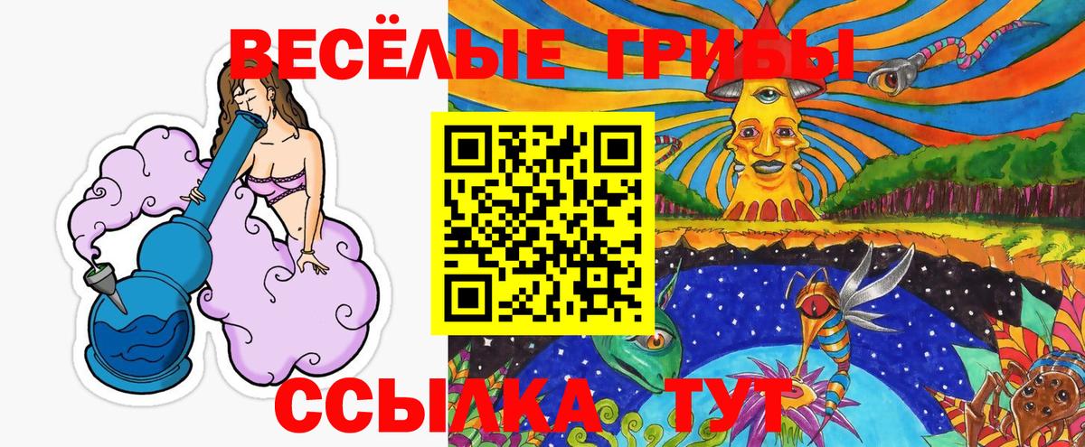 Галлюциногенные грибы GOLDEN TEACHER Карталы
